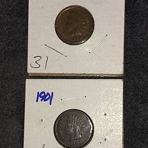 Lot of 9 1900's Indian Head Pennies... Nice Details... In Protective Sleeves